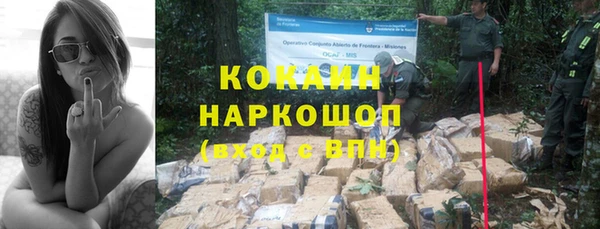 сатива Абдулино