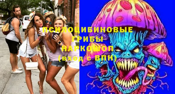 сатива Абдулино